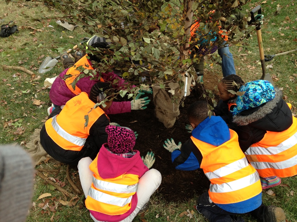 Drew ES students planting a tree